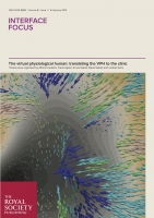 Interface - Special Issue